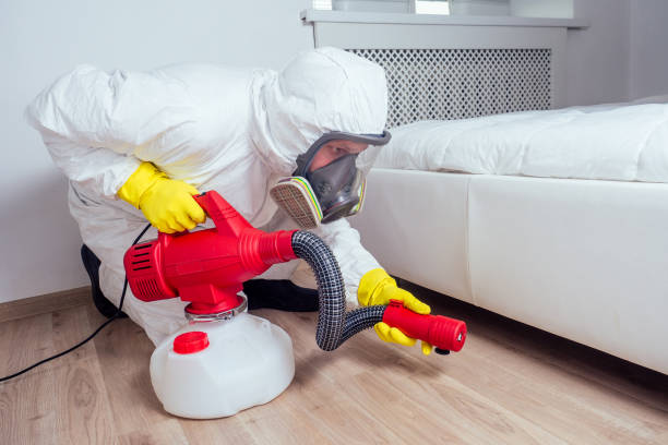 Wasp Removal Services in Woodbine, NJ